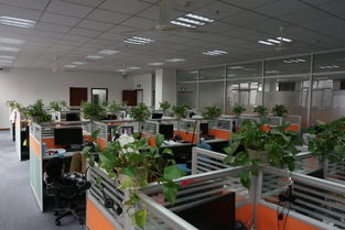 看準(zhǔn)網(wǎng) 技術(shù)驅(qū)動(dòng)下的網(wǎng)絡(luò)科技開發(fā)與運(yùn)營